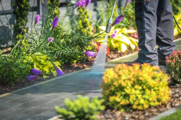 Best Dumpster Area Cleaning  in Flemington, NJ